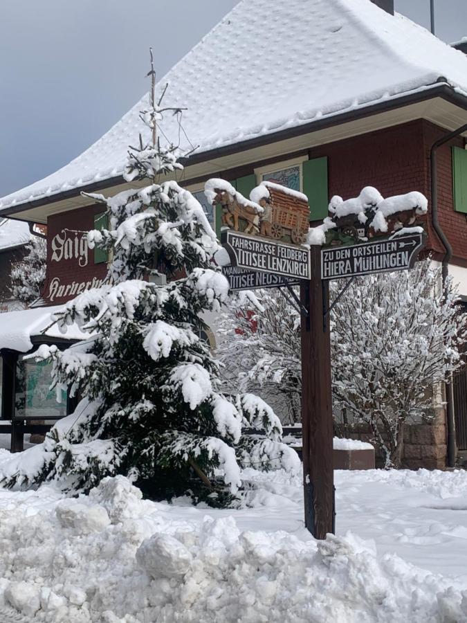 Fewo Fuchs Saig Lenzkirch Bagian luar foto