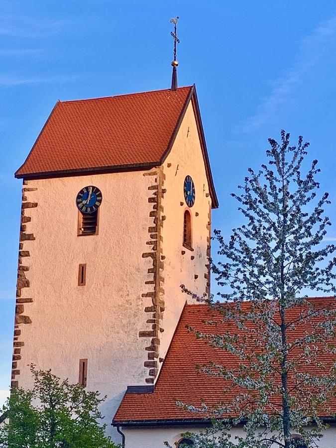 Fewo Fuchs Saig Lenzkirch Bagian luar foto