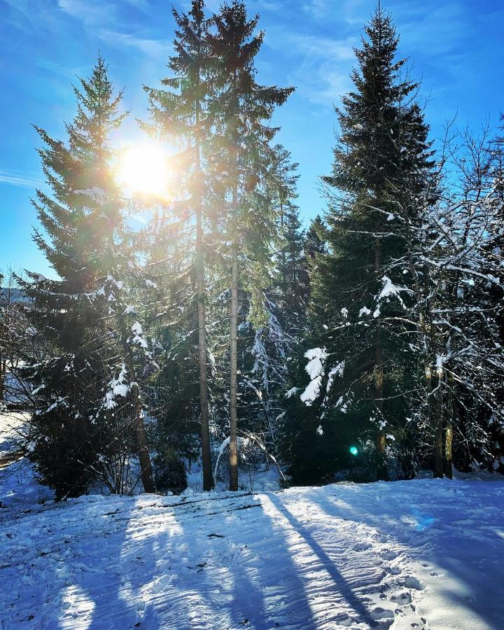 Fewo Fuchs Saig Lenzkirch Bagian luar foto
