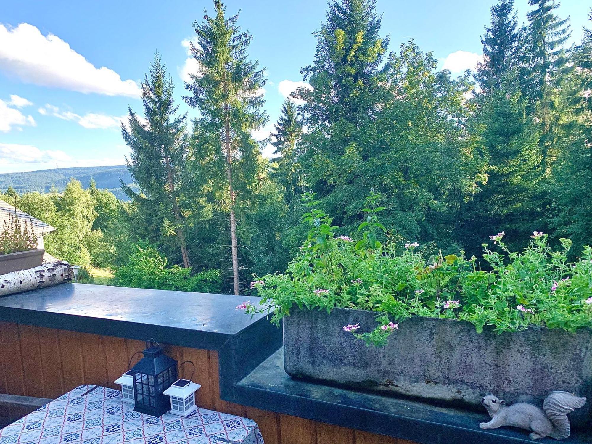Fewo Fuchs Saig Lenzkirch Ruang foto